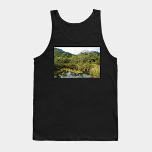 Zelenci Nature Reserve, Slovenia Tank Top